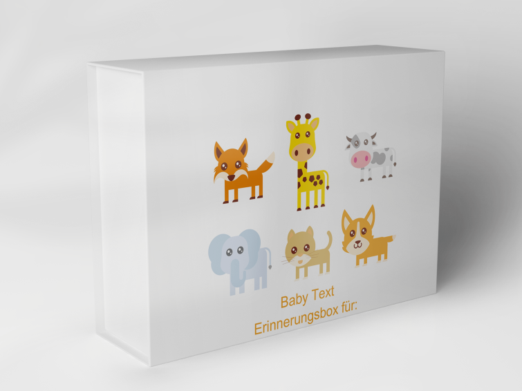 Geschenkbox "Baby 16" 1007_01_0016 